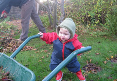 Gardening with Dad