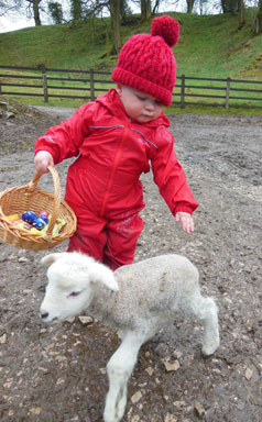 Jonathan on the farm