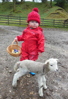 Eater egg hunt on the farm