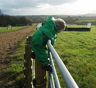 On the gallops