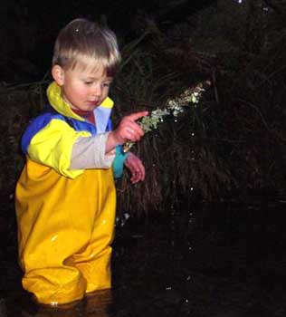 George in the river Plym