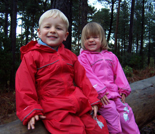 Sitting on a log