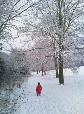 Snowy Walk