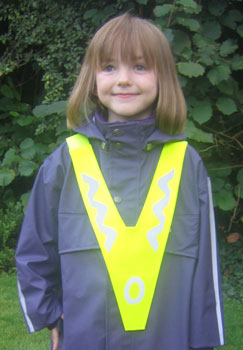 Hi Viz V